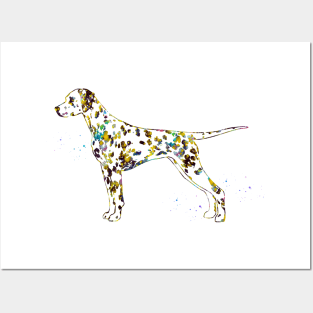 Dalmatian dog Posters and Art